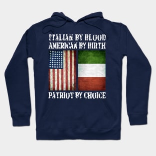 Irish By Blood American By Birth Patriot By Choice (5) Hoodie